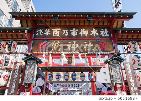 東京都　浅草　鷲神社（おおとりじんじゃ）　酉の市・一の酉 60516937