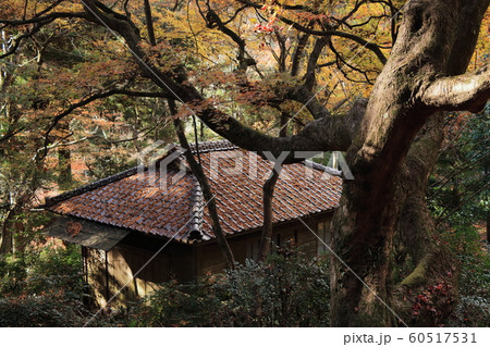 晩秋の雲巌寺　浴室付近 60517531