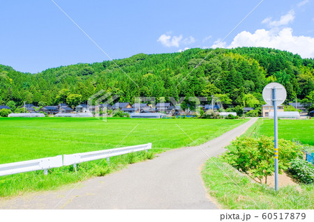 夏の田舎風景 夏の田舎風景 60517879
