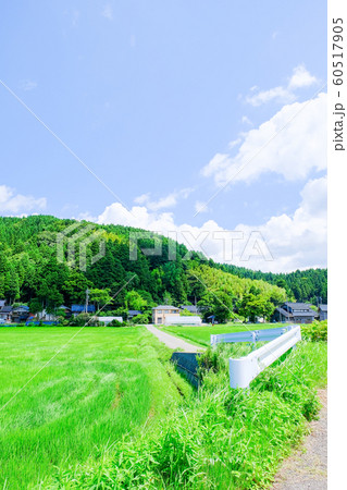 夏の田舎風景 60517905
