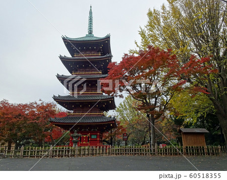 秋の上野東照宮五重塔の美 60518355