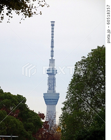 上野公園から見えるスカイツリーの写真素材