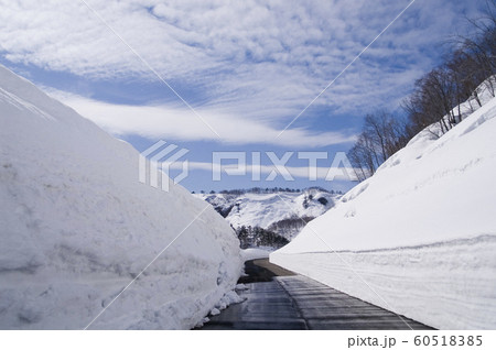 雪の回廊 雪の回廊 60518385
