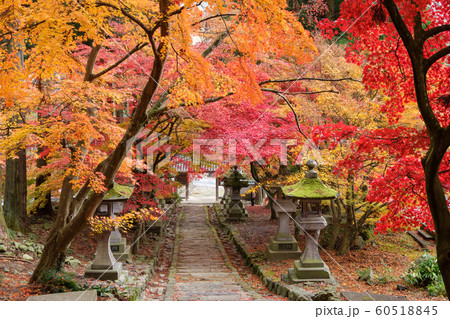 紅葉と石段 60518845