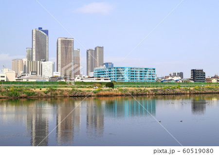春 多摩川河川敷にて 武蔵小杉高層ビル群 春 多摩川河川敷にて 武蔵小杉高層ビル群 60519080