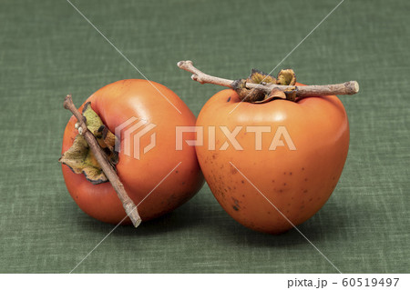 渋柿 60519497