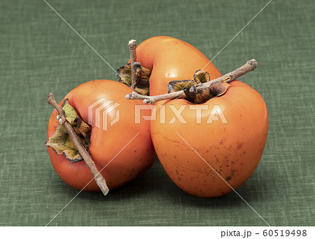 渋柿 渋柿 60519498