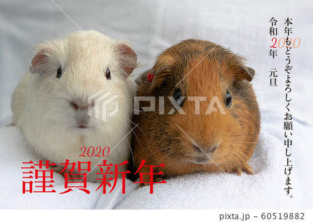 子年　年賀状　素材 60519882