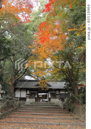 伊居太神社 伊居太神社 60519964