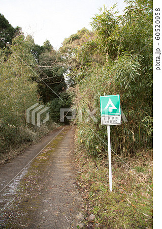 林道の標識 林道の標識 60520958