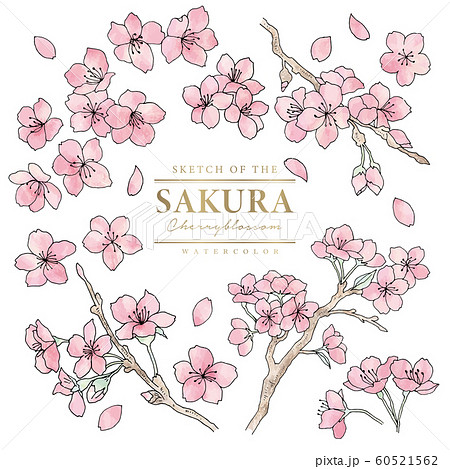 最も人気のある 桜 イラスト 白黒 手書き 最高の画像壁紙日本aad