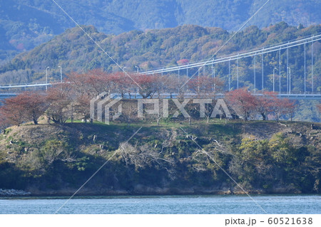 しまなみ海道・海賊の島・能島・望遠・十二月・快晴・紅葉 しまなみ海道・海賊の島・能島・望遠・十二月・快晴・紅葉 60521638