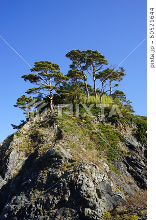 三陸ジオパーク島の越松島 60521644