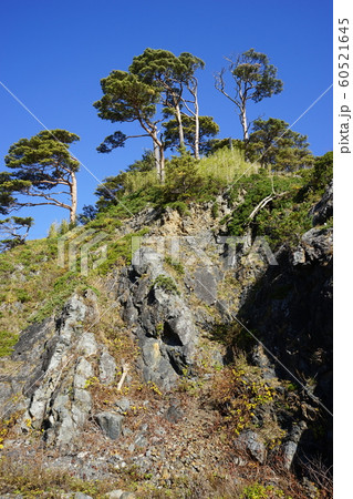 三陸ジオパーク島の越松島 三陸ジオパーク島の越松島 60521645