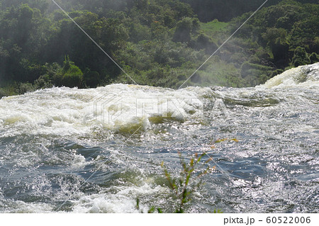 イグアスの滝 下流 イグアスの滝 下流 60522006
