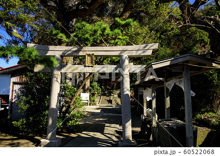 白鬚神社(秋) 白鬚神社(秋) 60522068