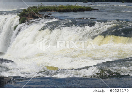 イグアスの滝　すぐ上流 60522179