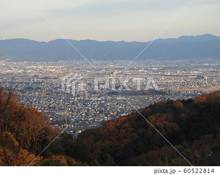 nara nara 60522814