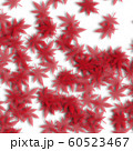 紅葉：透過 60523467