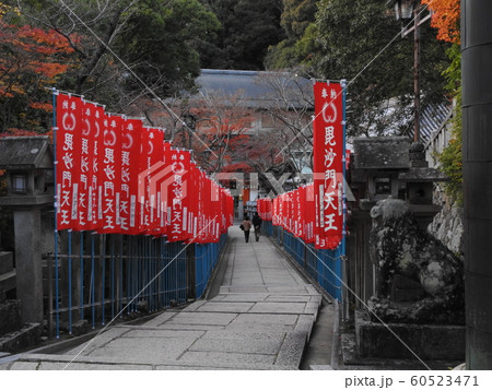nara 60523471