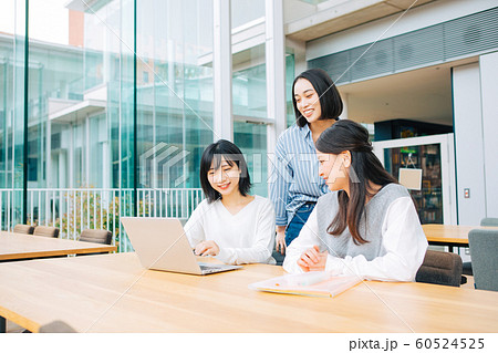 大学生のグループワーク　撮影協力「近畿大学」　 60524525