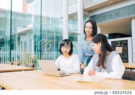 大学生のグループワーク　撮影協力「近畿大学」　 60524528