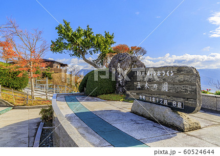 三方五湖 60524644