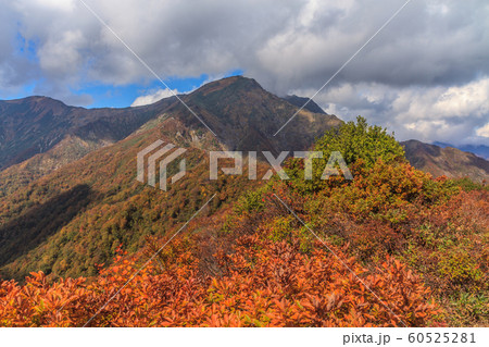 秋の天神峠から谷川岳への登山道からみた風景 60525281