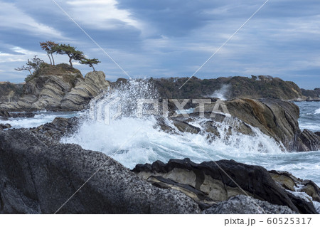 荒崎海岸 60525317