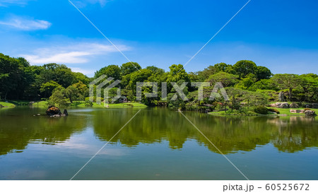 新緑の六義園 新緑の六義園 60525672