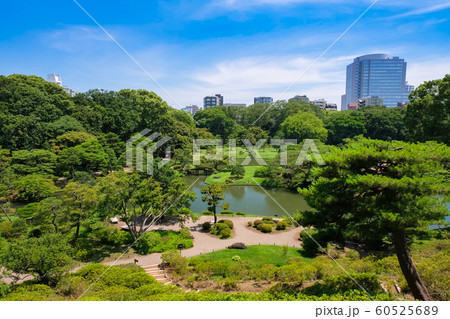 新緑の六義園 藤代峠からの眺め 60525689
