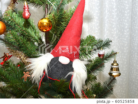 クリスマス・妖精 60525858