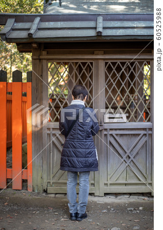 神社にお参りするシニア女性 神社にお参りするシニア女性 60525988