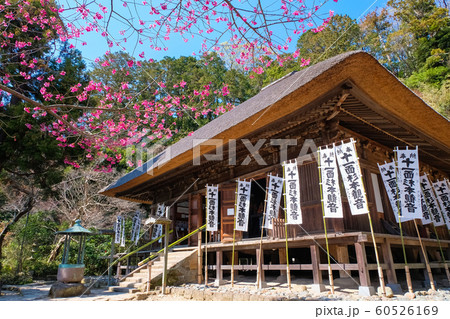鎌倉市 杉本寺 本堂 鎌倉市 杉本寺 本堂 60526169