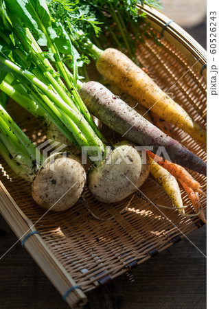 泥付きの人参と蕪 60526243