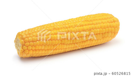 Fresh corn cob isolated on white 60526815