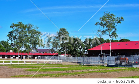 北海道 生産牧場 60527996