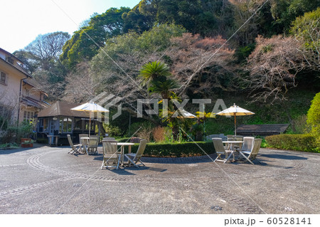 鎌倉 浄妙寺境内 石窯ガーデンテラス 60528141