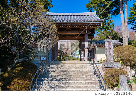 鎌倉 浄妙寺 山門 60528146