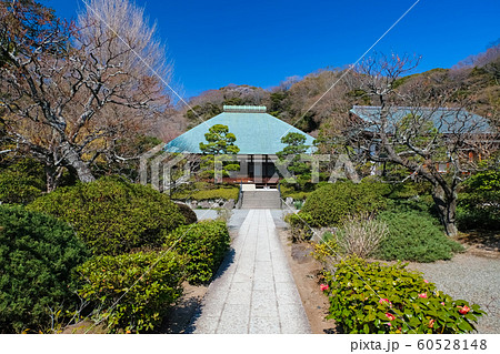 鎌倉 浄妙寺 鎌倉 浄妙寺 60528148