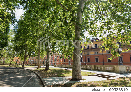 Montagnola Park in the city historic center. Montagnola Park in the city historic center. 60528310