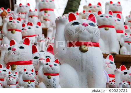 世田谷 豪徳寺 招き猫の写真素材