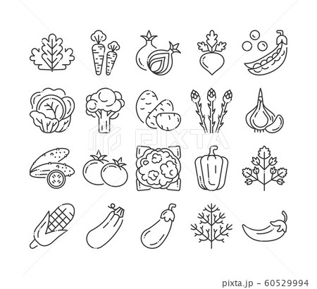 Natural vegetables black line icons set. Healthy, 60529994