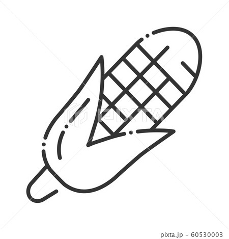 Corn black line icon. Natural vegetable sign. 60530003