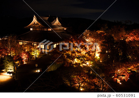 将軍塚青龍殿2019秋 60531091