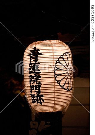 将軍塚青龍殿2019秋 将軍塚青龍殿2019秋 60531095