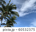 ハワイ 青空 ホノルル ワイキキ ビーチ ヤシの木 60532375