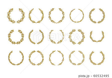 Gold laurel foliage wreath vector illustration set on white background 60532495