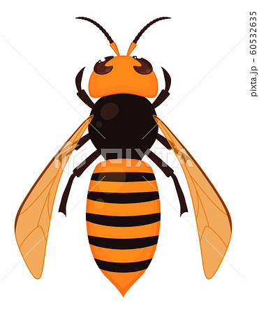 25 かっこいい スズメバチ 蜂 イラスト 100 ベストミキシング写真 イラストレーション