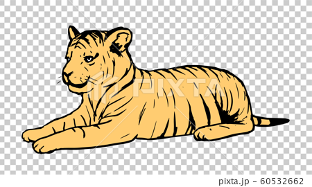 虎の子供のイラストのイラスト素材